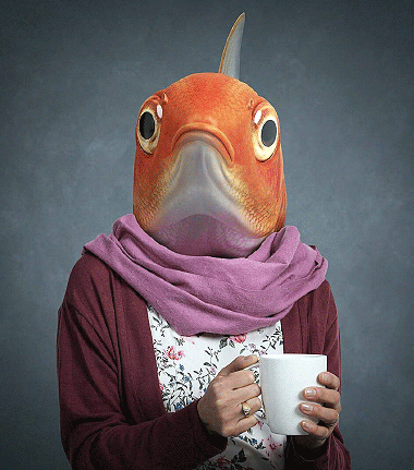 fish