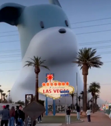 MiniVegas